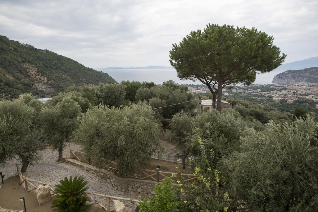 Appartamento Villa Degli Ulivi Sant'Agnello Pokój zdjęcie