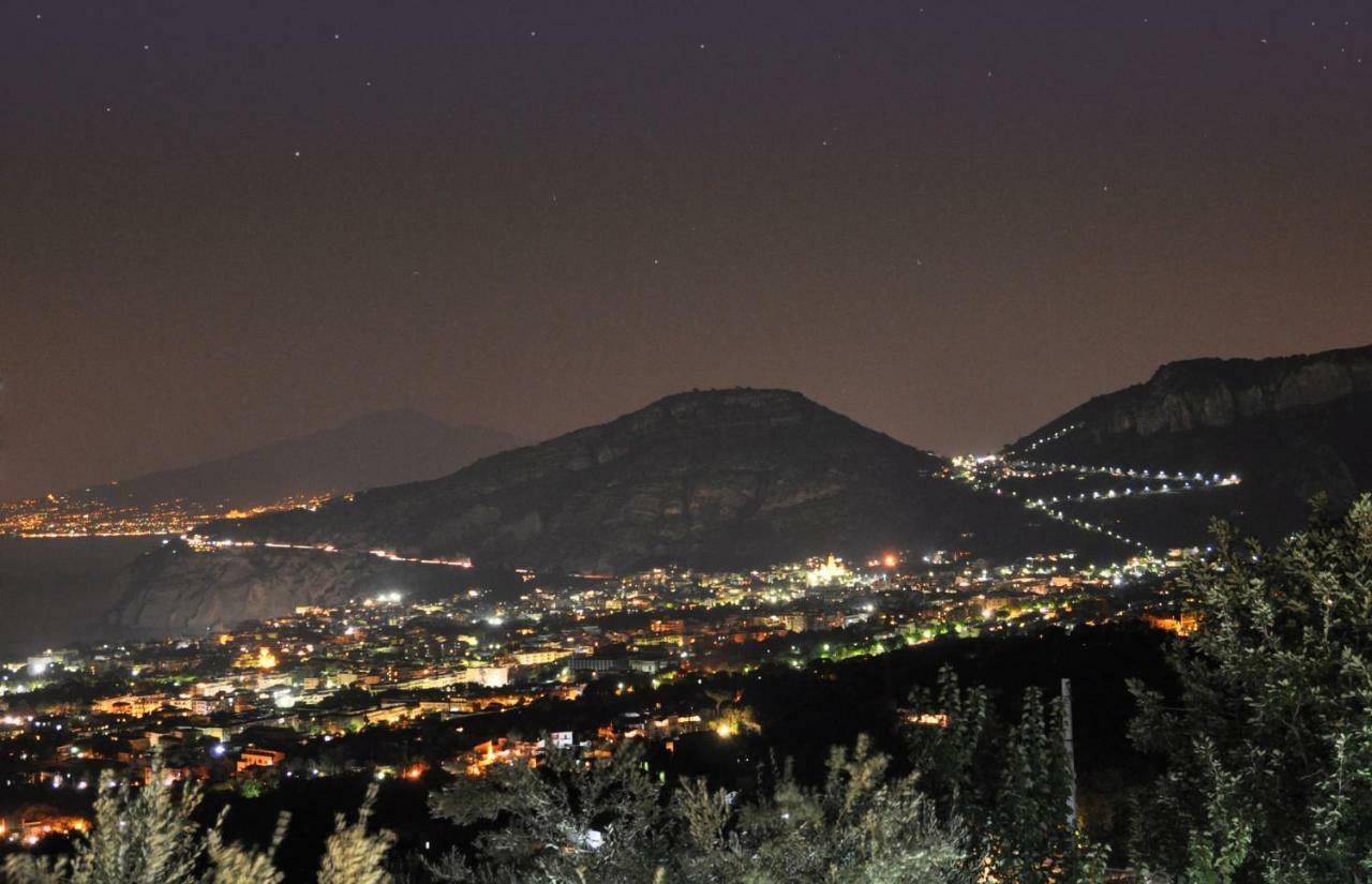 Appartamento Villa Degli Ulivi Sant'Agnello Zewnętrze zdjęcie